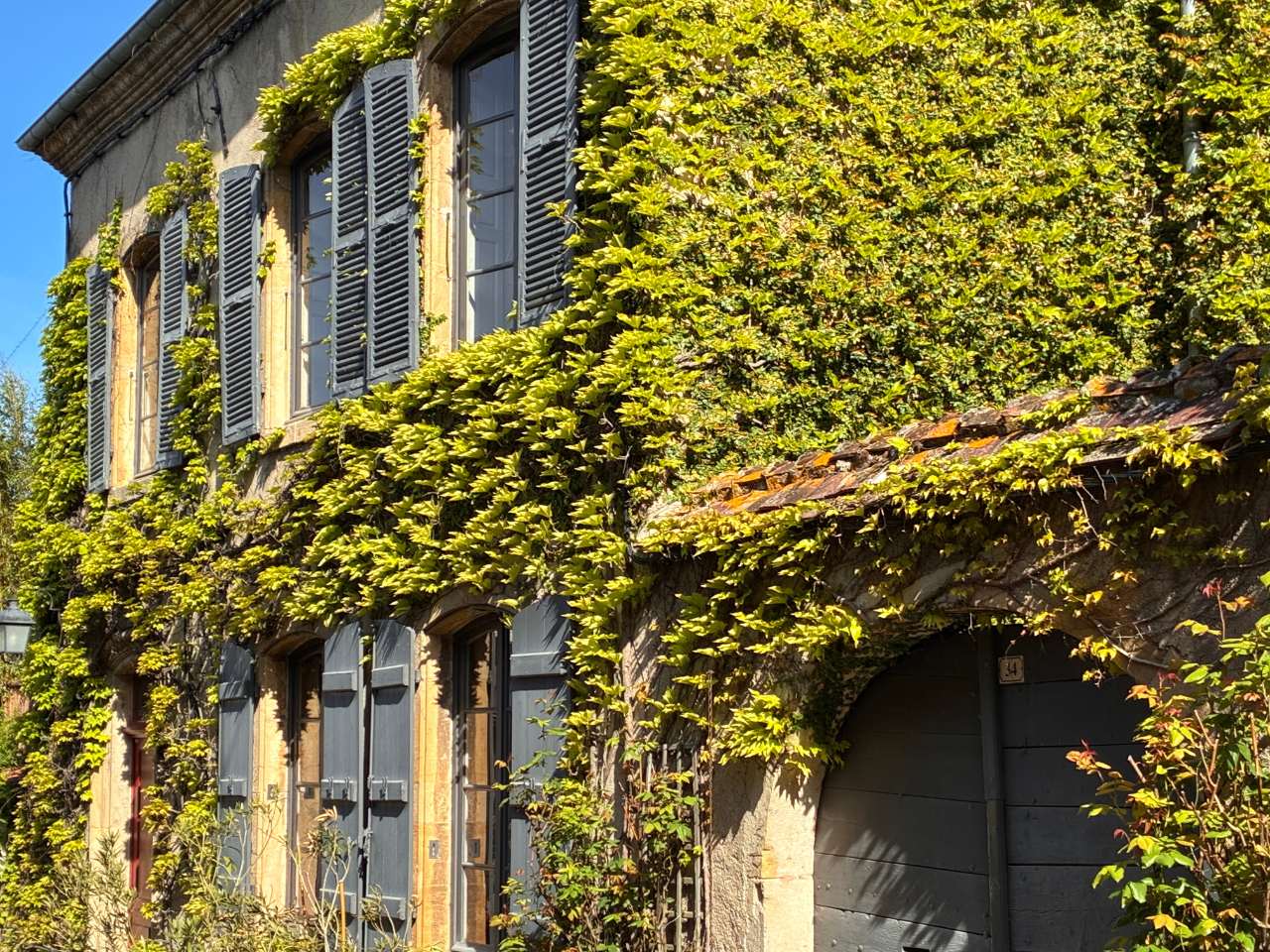 Printemps Les Tillets 03