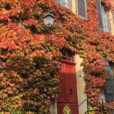 Week-end œnologique en Bourgogne du Sud aux Tillets