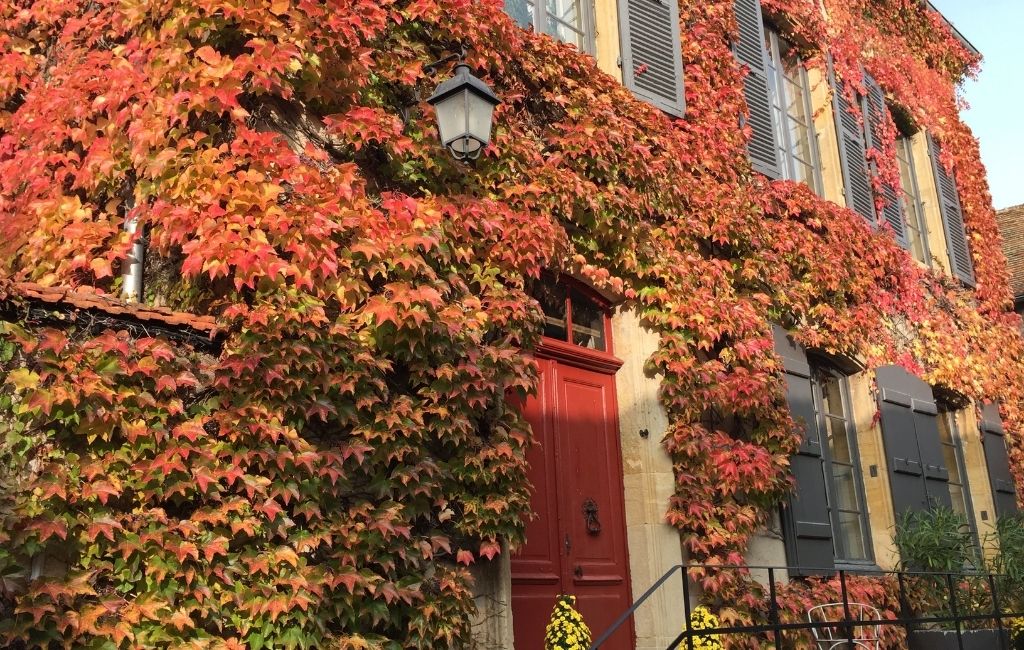 Week-end œnologique en Bourgogne du Sud aux Tillets